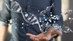 genome humain
