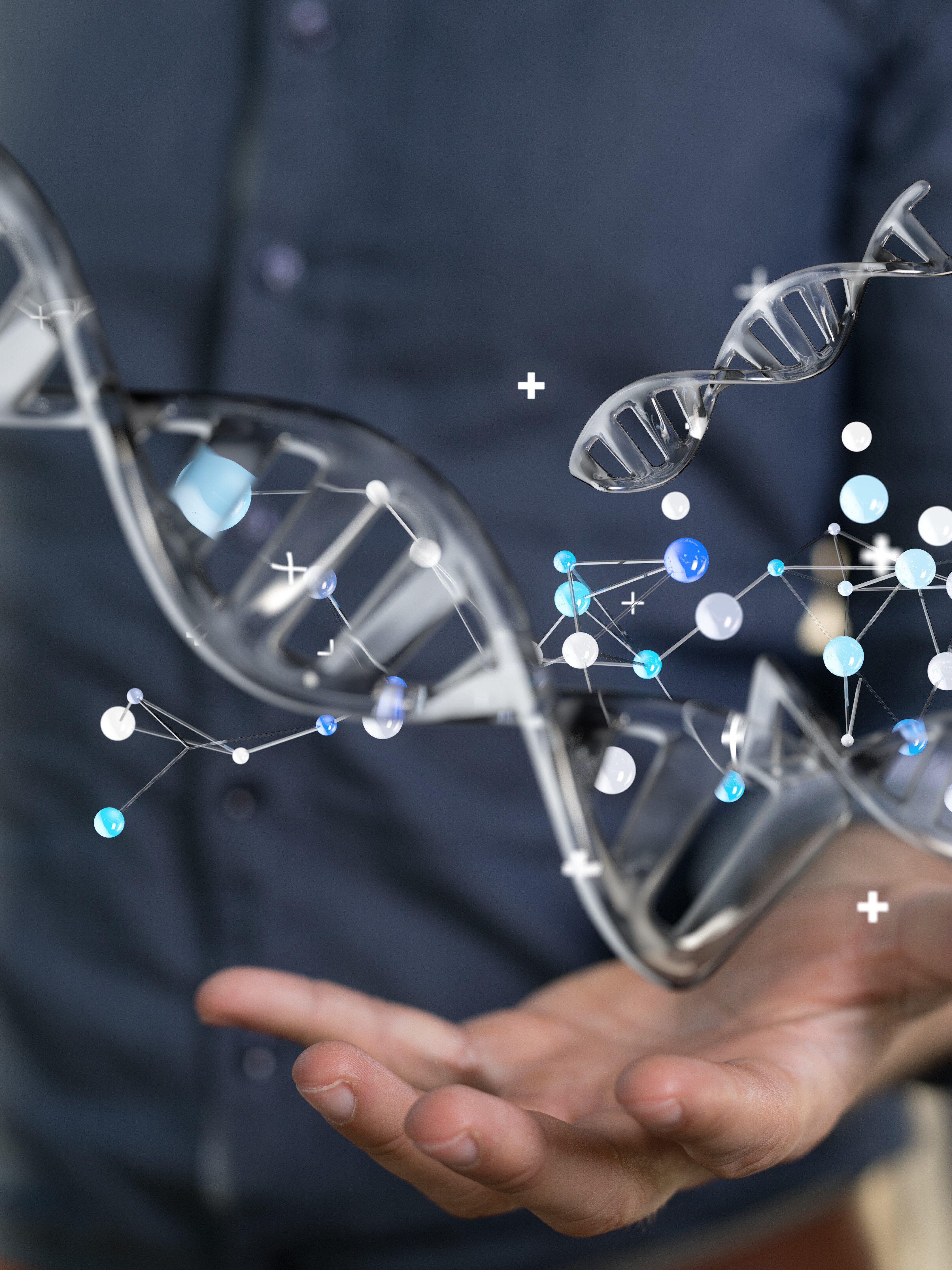 genome humain