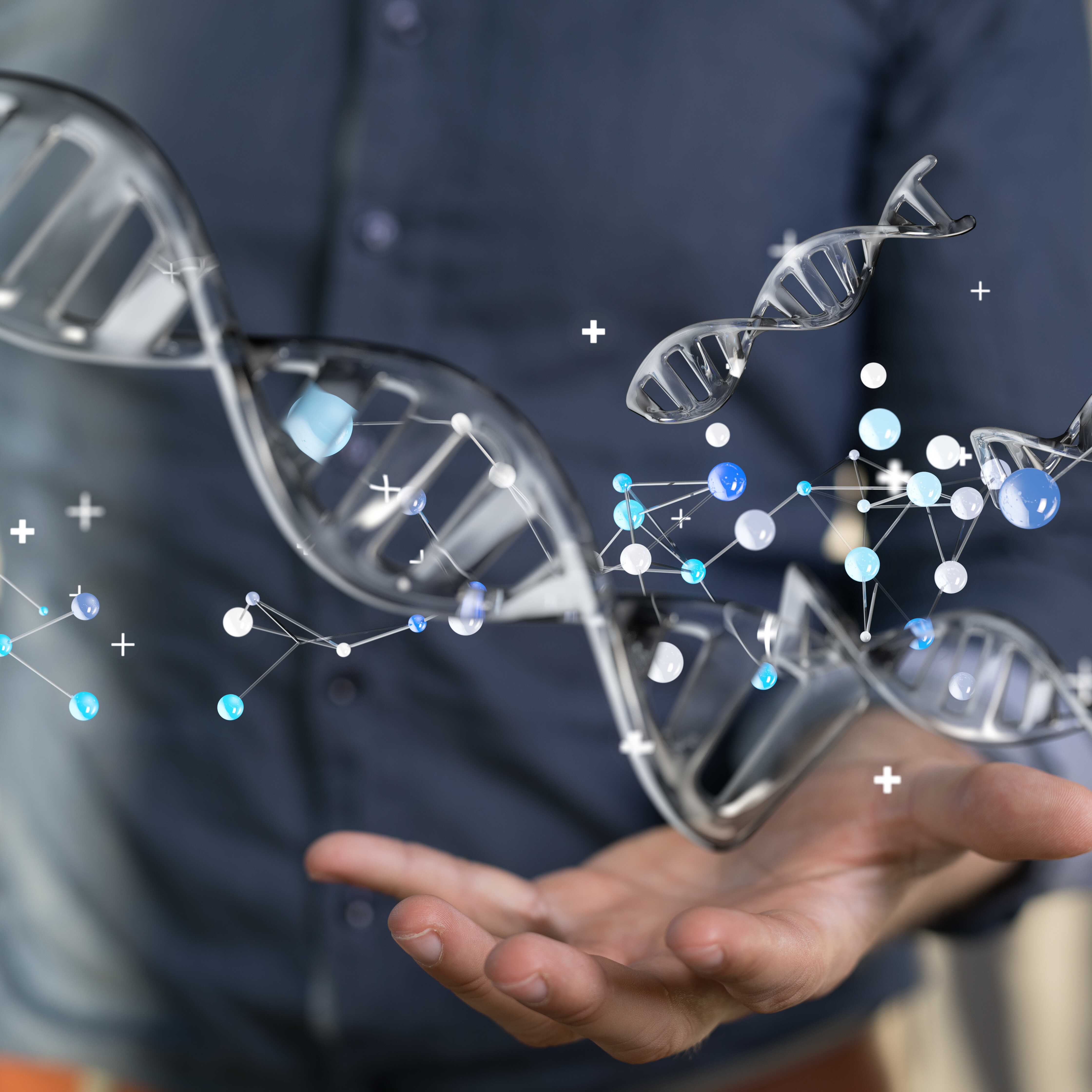 genome humain