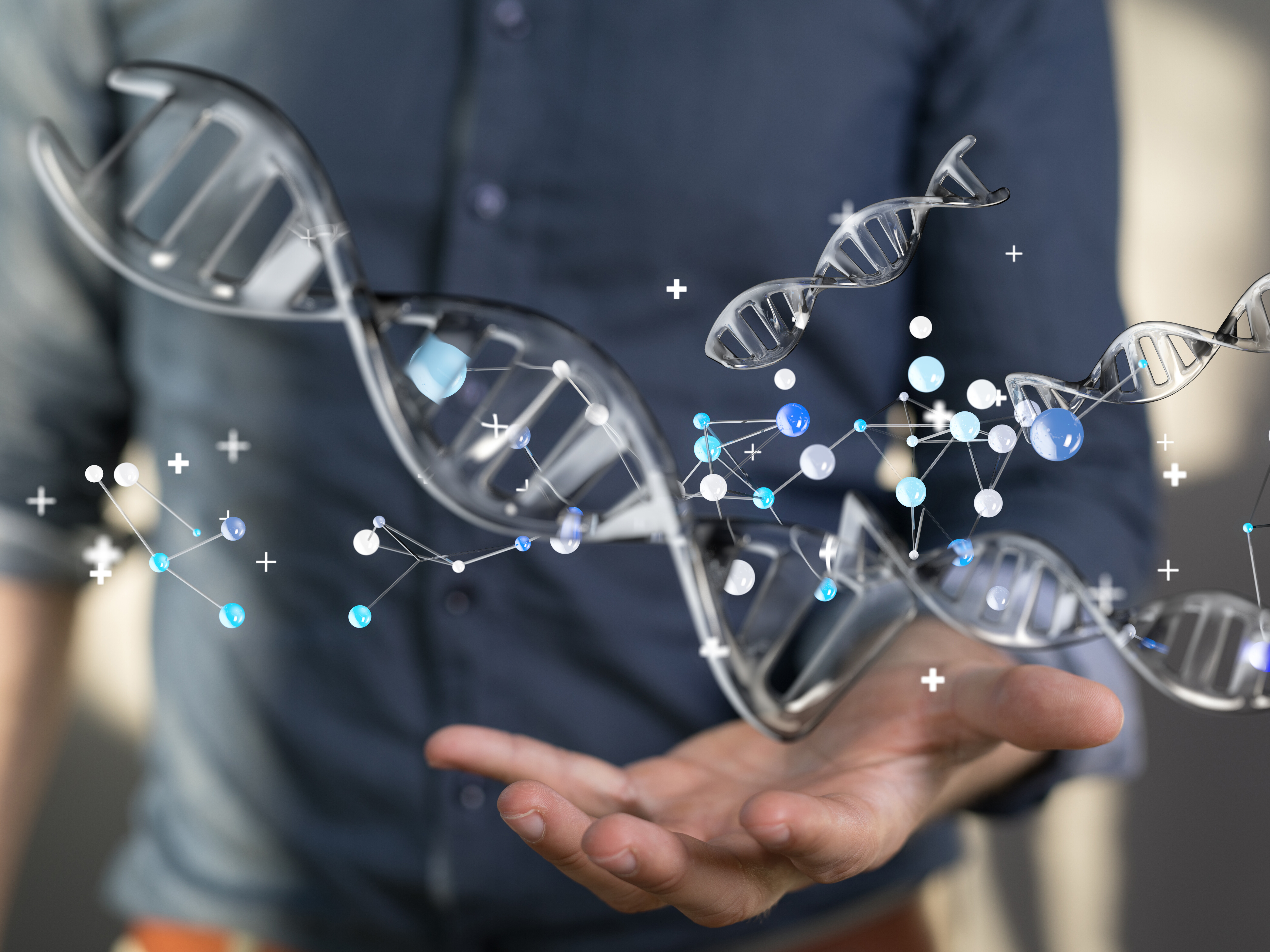genome humain